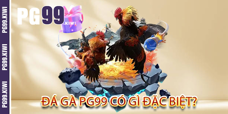 Đá gà PG99 có gì đặc biệt?
