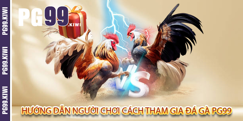 Hướng dẫn người chơi cách tham gia đá gà PG99