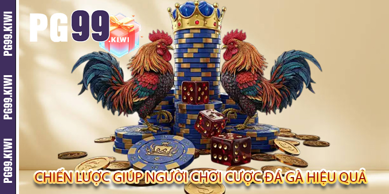 Chiến lược giúp người chơi cược đá gà hiệu quả